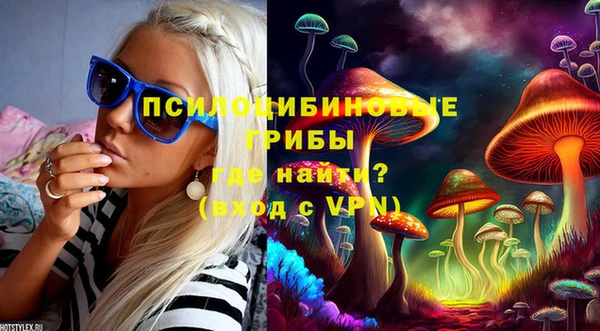 СК Аркадак