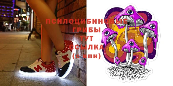 СК Аркадак