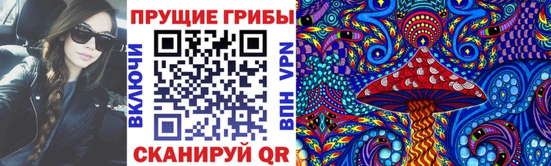 kraken зеркало  Таштагол  Псилоцибиновые грибы GOLDEN TEACHER 